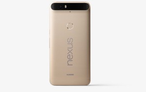 Nexus-6P-gold-back-940x594