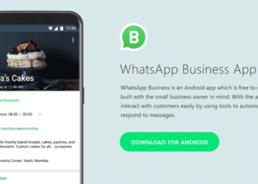 whatsapp for business