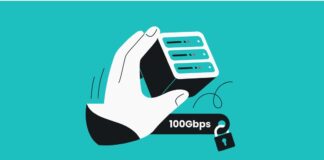 Surfshark 100Gbps VPN Server