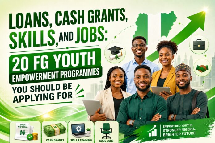 fg-youth-empowerment-programmes-in-nigeria FG Youth Empowerment Programmes in Nigeria
